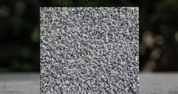 武威 芝麻黑荔枝面