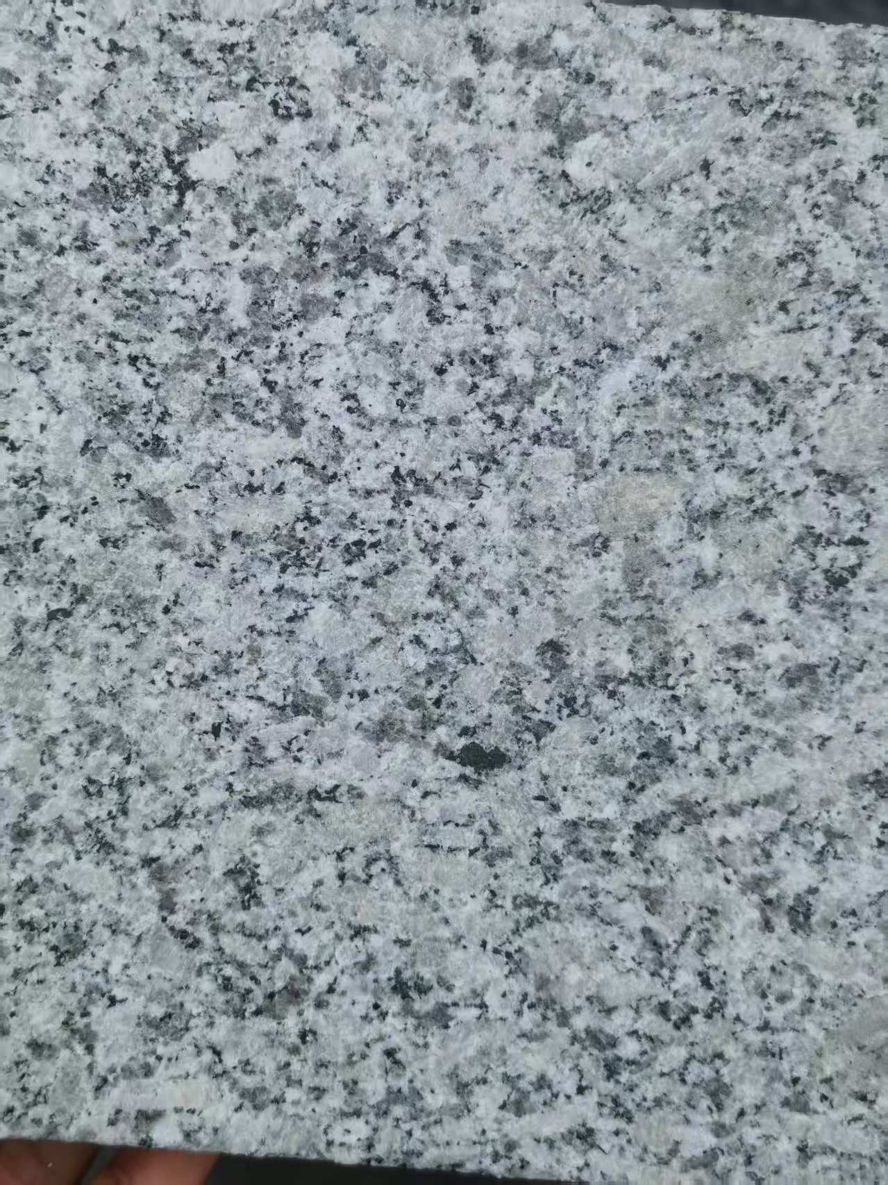 武威 芙蓉白火烧面
